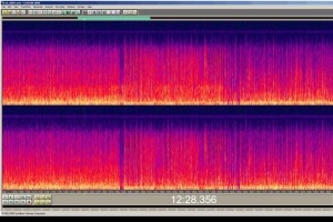 Audiobearbeitung mit cool-edit 2000, heute Adobe Audion